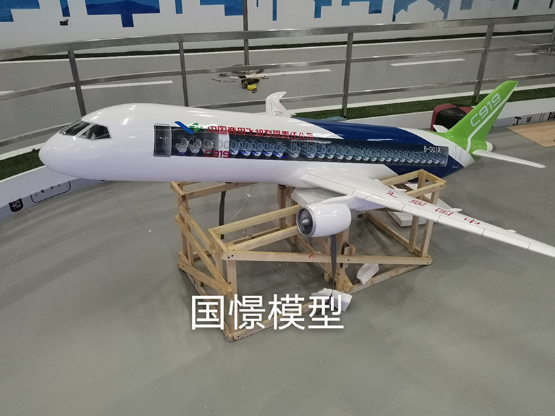 团风县飞机模型